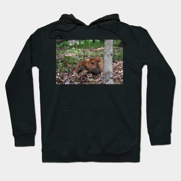 Bison Calf Hoodie by MarieDarcy